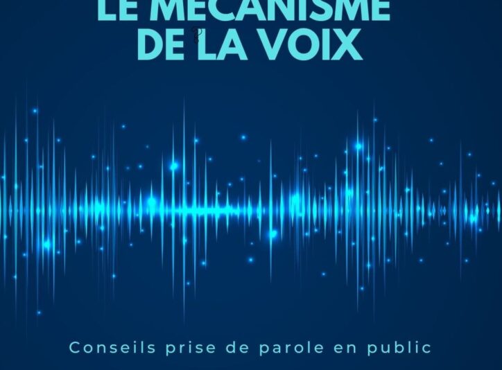 formation-sur-la-voix